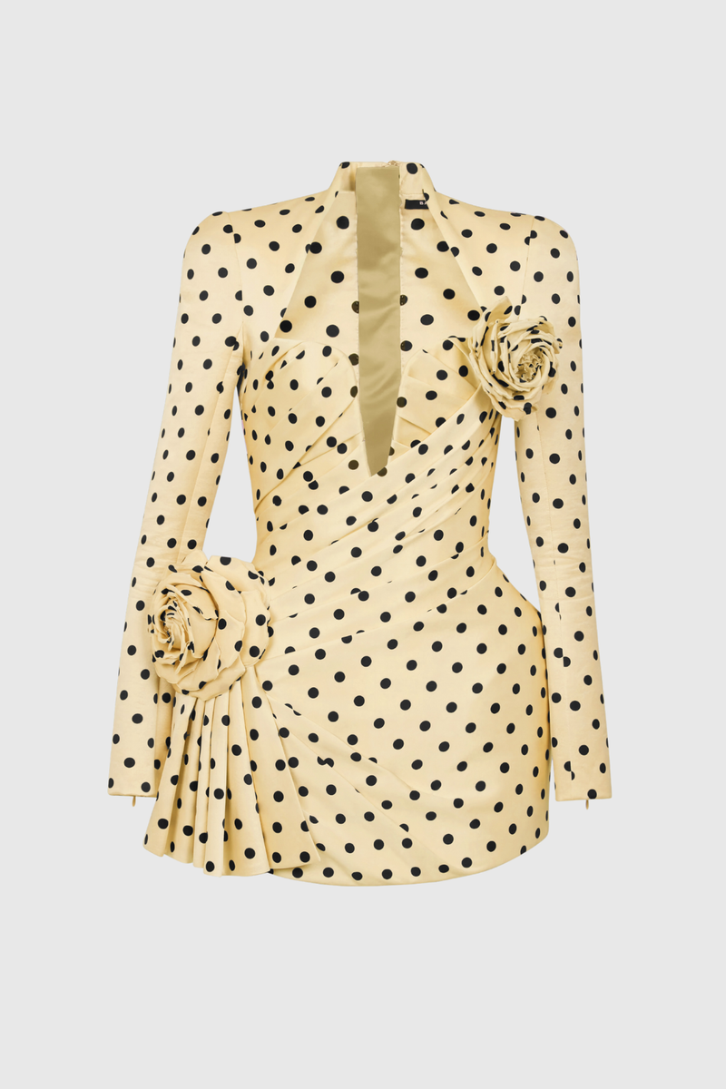 Gracefully Styled Dress for Any Occasion