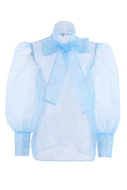 Gracefully Styled Top for Any Occasion