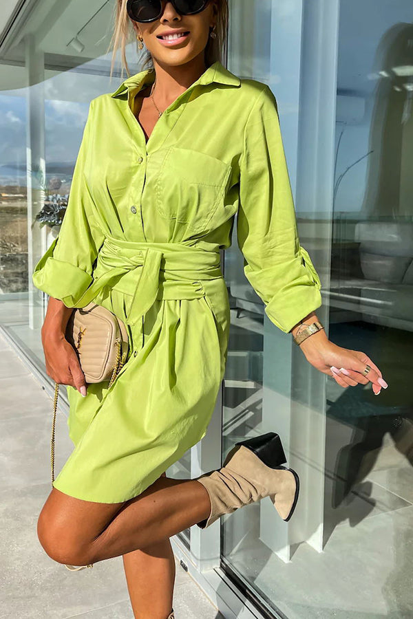 Sophisticated Dress with a Clean Classic Look