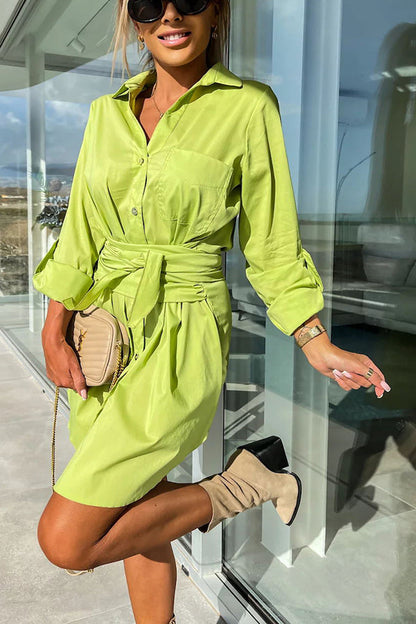 Sophisticated Dress with a Clean Classic Look