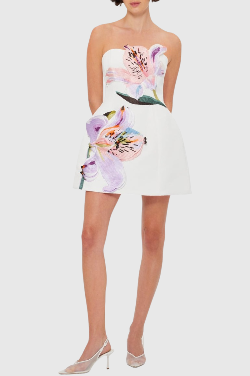 Beautifully Crafted Dress in a Classic Style