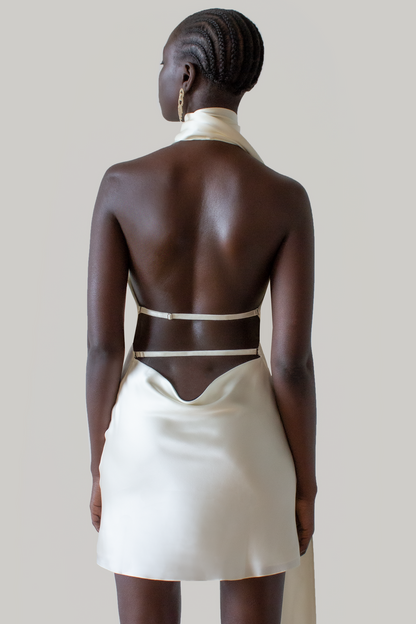 Gracefully Styled Dress for Any Occasion
