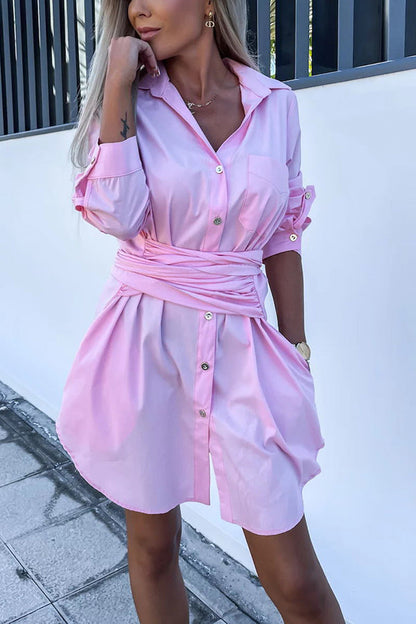 Sophisticated Dress with a Clean Classic Look