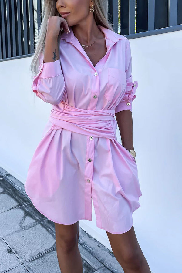 Sophisticated Dress with a Clean Classic Look