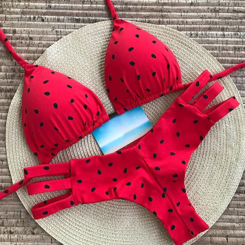 Sophisticated Bikini with a Clean Classic Look