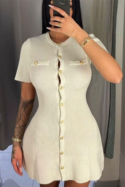 Sophisticated Dress with a Clean Classic Look