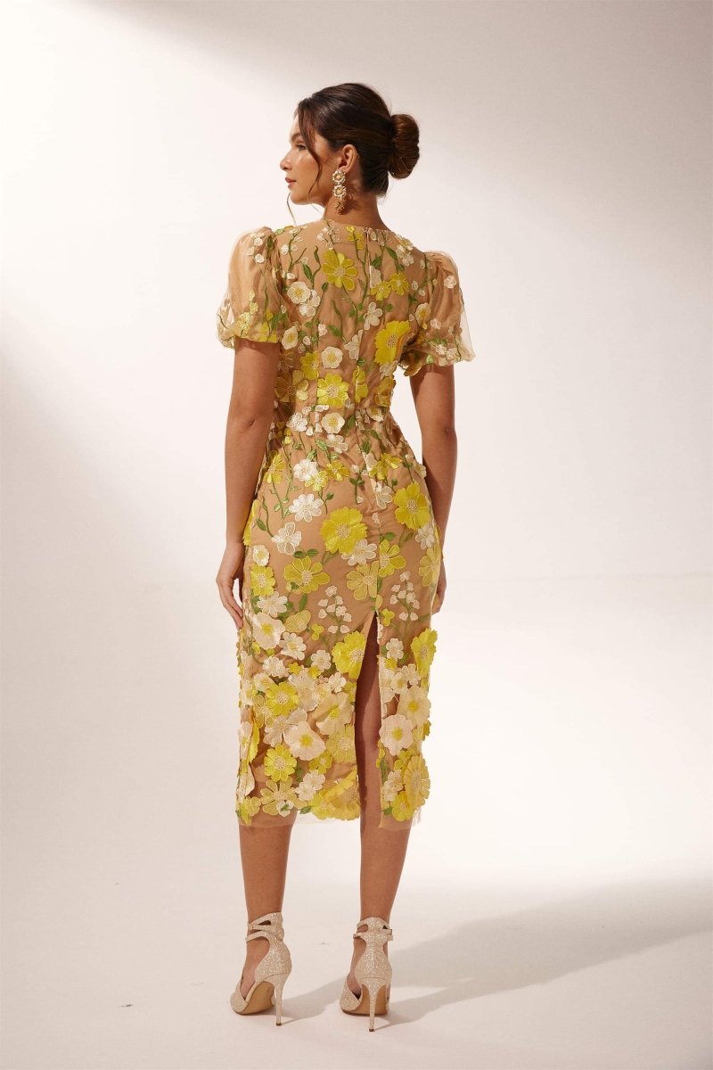Sophisticated Dress with a Clean Classic Look