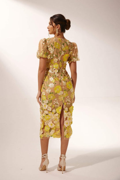 Sophisticated Dress with a Clean Classic Look