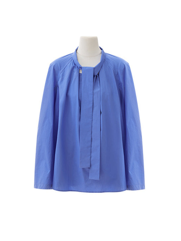 Gracefully Styled Blouse for Any Occasion