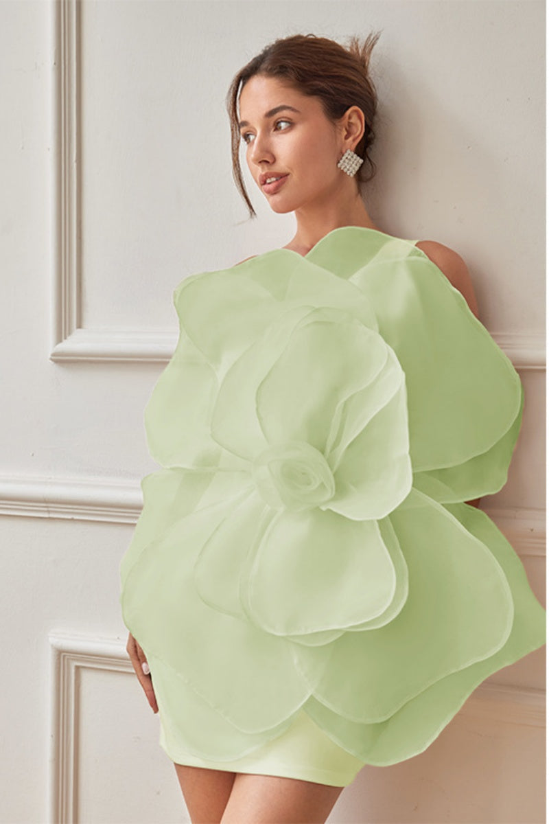 Vintage Inspired Dress with a Contemporary Edge