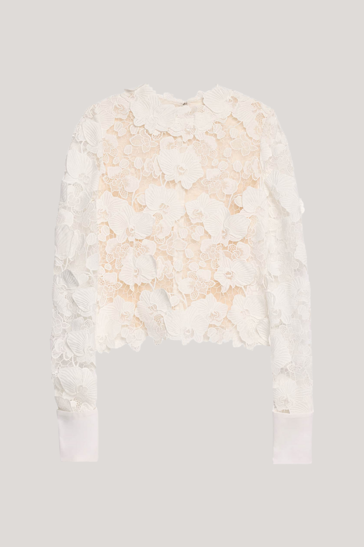 Well Tailored Top with a Graceful Silhouette