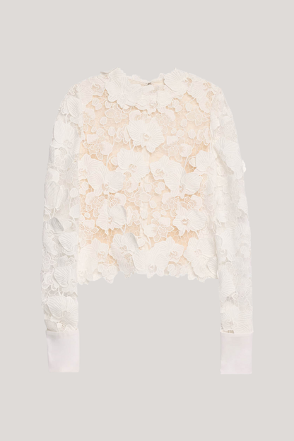 Well Tailored Top with a Graceful Silhouette