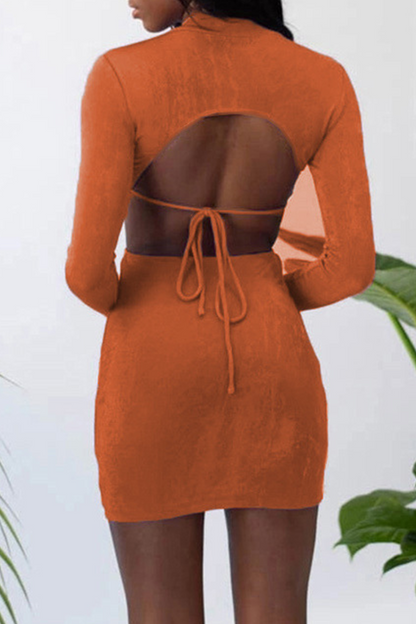 Gracefully Styled Dress for Any Occasion