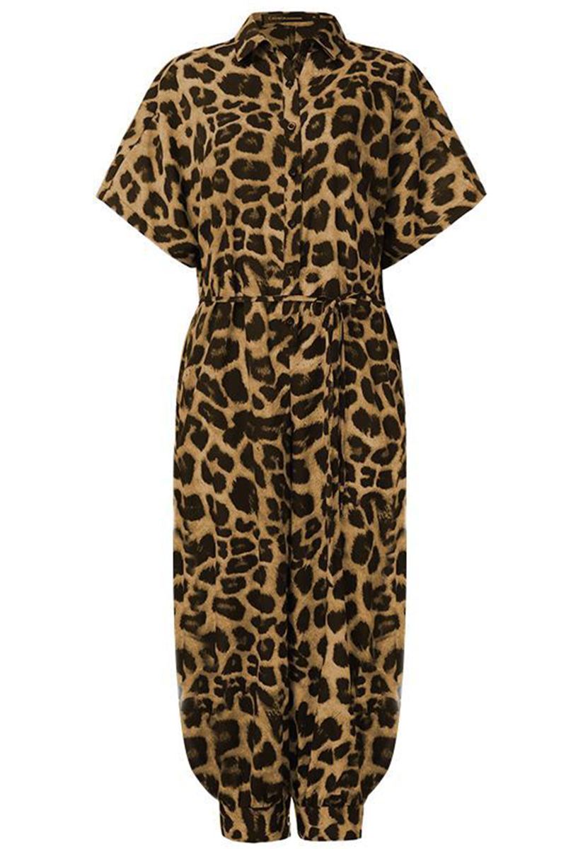 Well Tailored Garment with a Graceful Silhouette