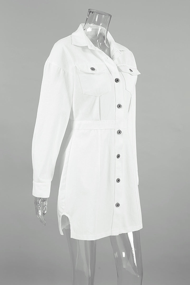 Sophisticated Dress with a Clean Classic Look
