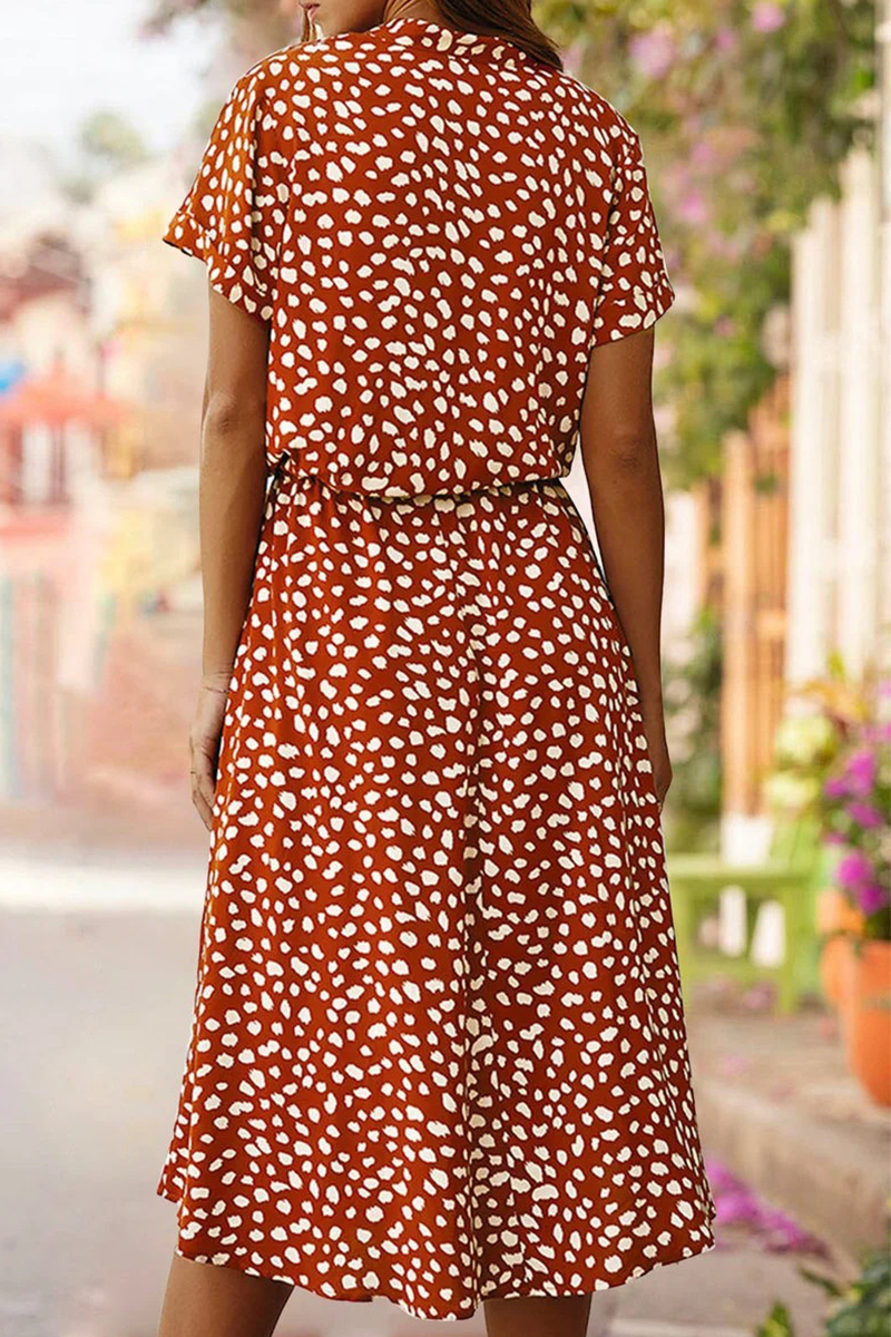 Sophisticated Dress with a Clean Classic Look