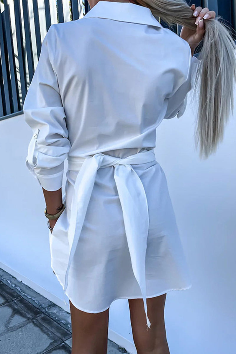 Sophisticated Dress with a Clean Classic Look