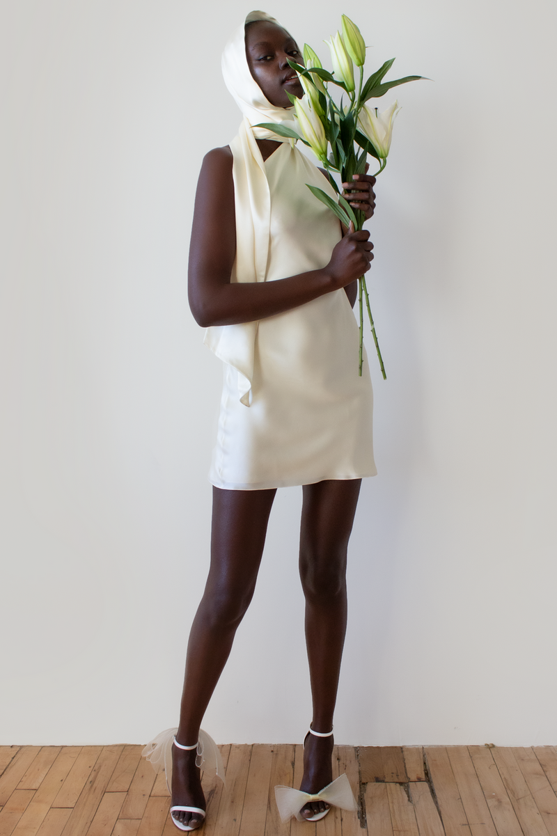 Gracefully Styled Dress for Any Occasion