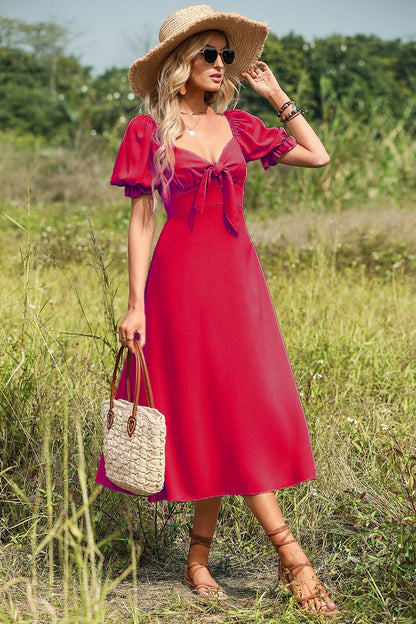Sophisticated Dress with a Clean Classic Look