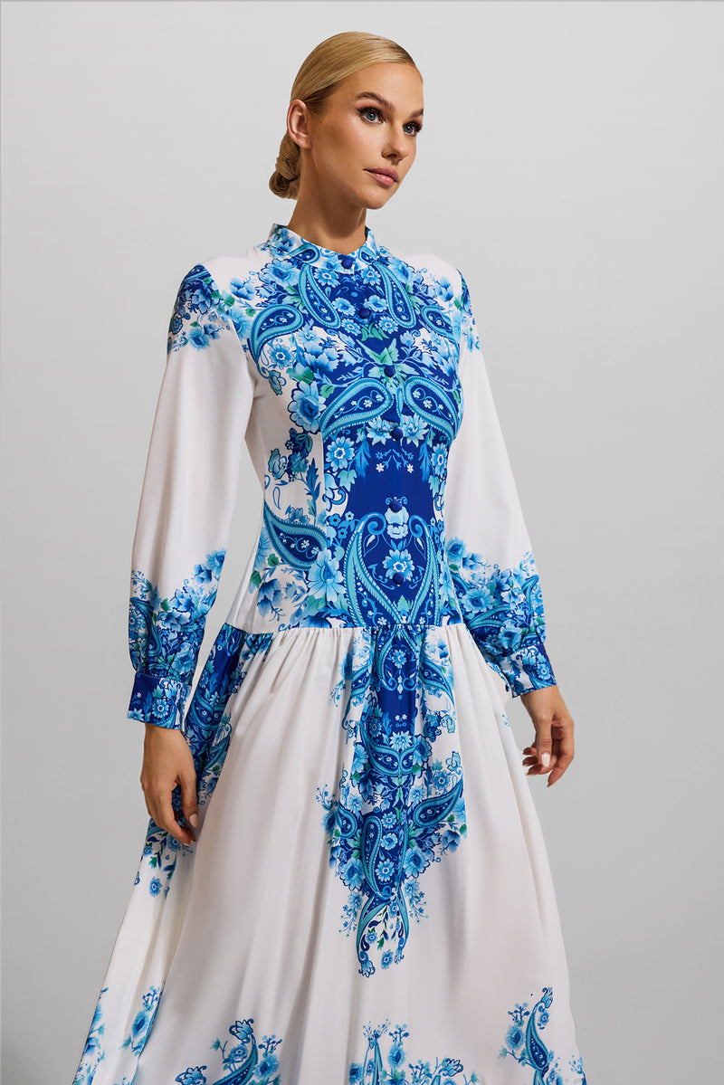 Gracefully Styled Dress for Any Occasion