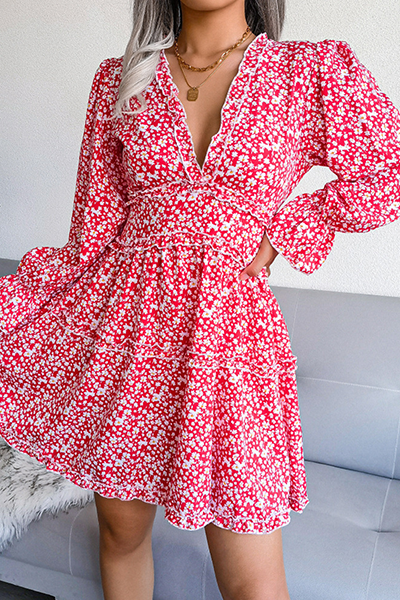 Elegantly Styled Dress for Everyday Wear
