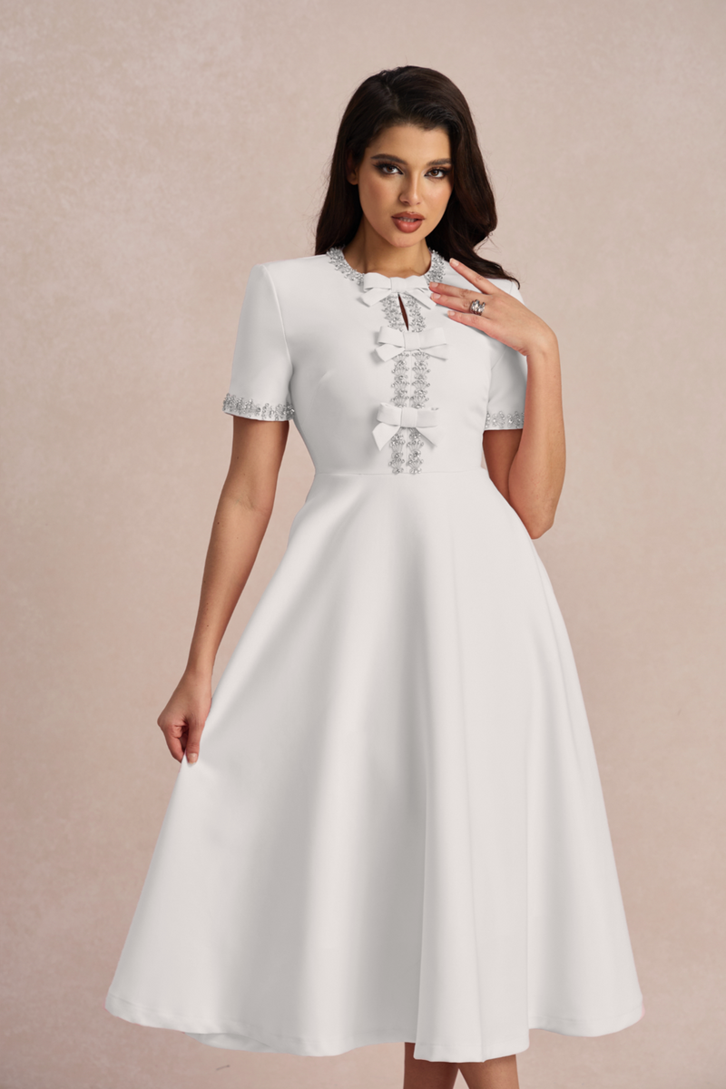 Sophisticated Dress with a Clean Classic Look