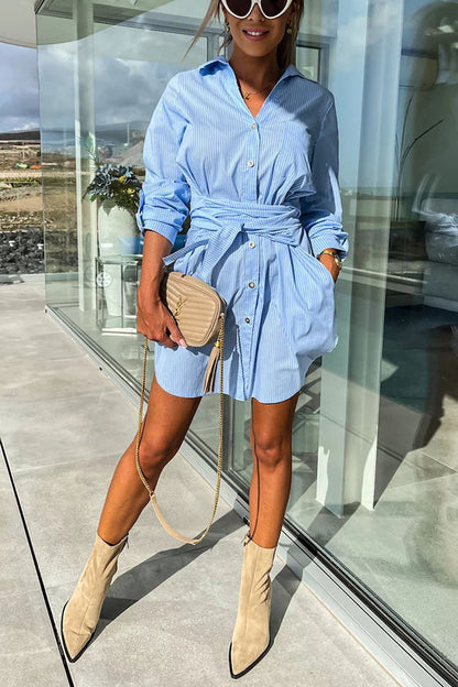 Sophisticated Dress with a Clean Classic Look