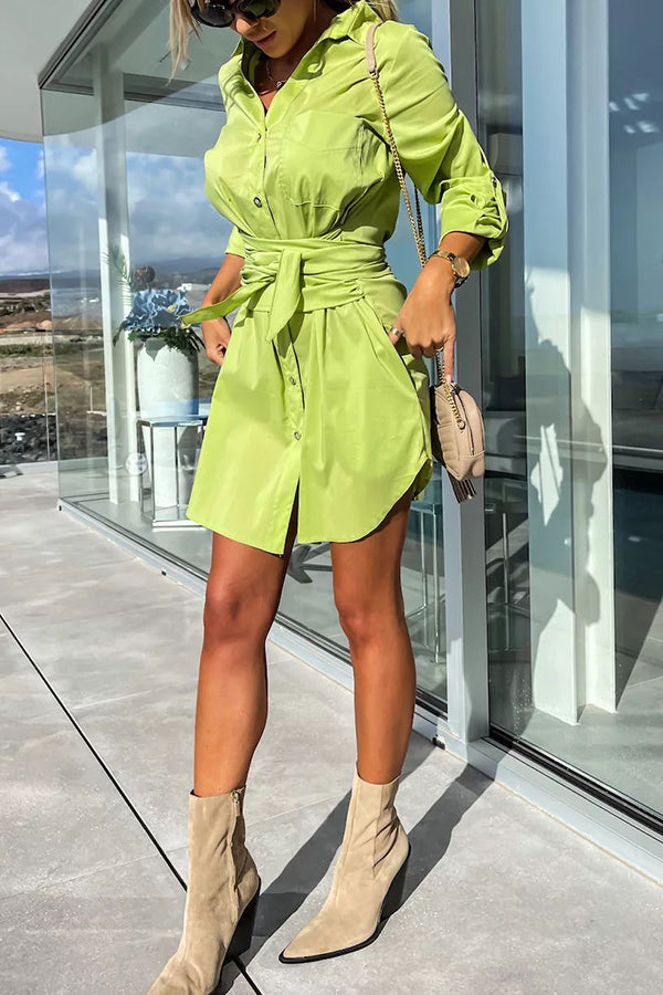 Sophisticated Dress with a Clean Classic Look