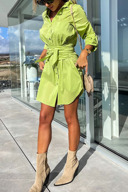 Sophisticated Dress with a Clean Classic Look