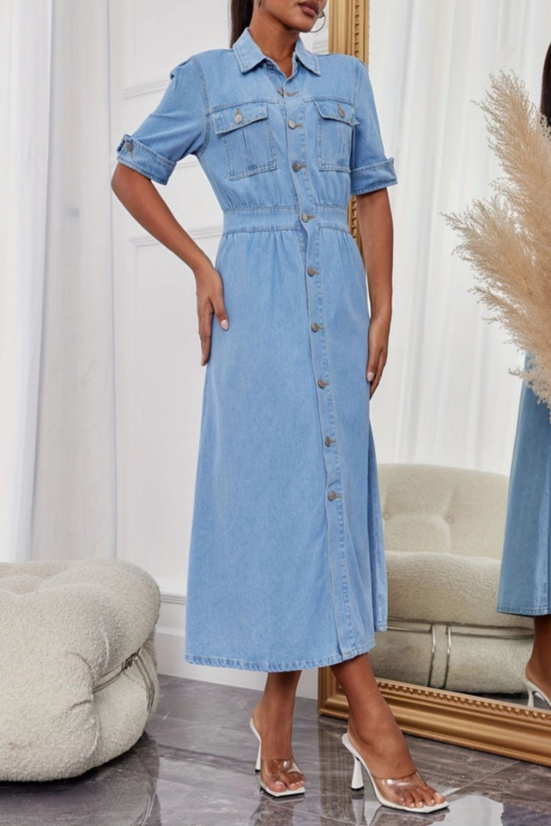 Sophisticated Dress with a Clean Classic Look