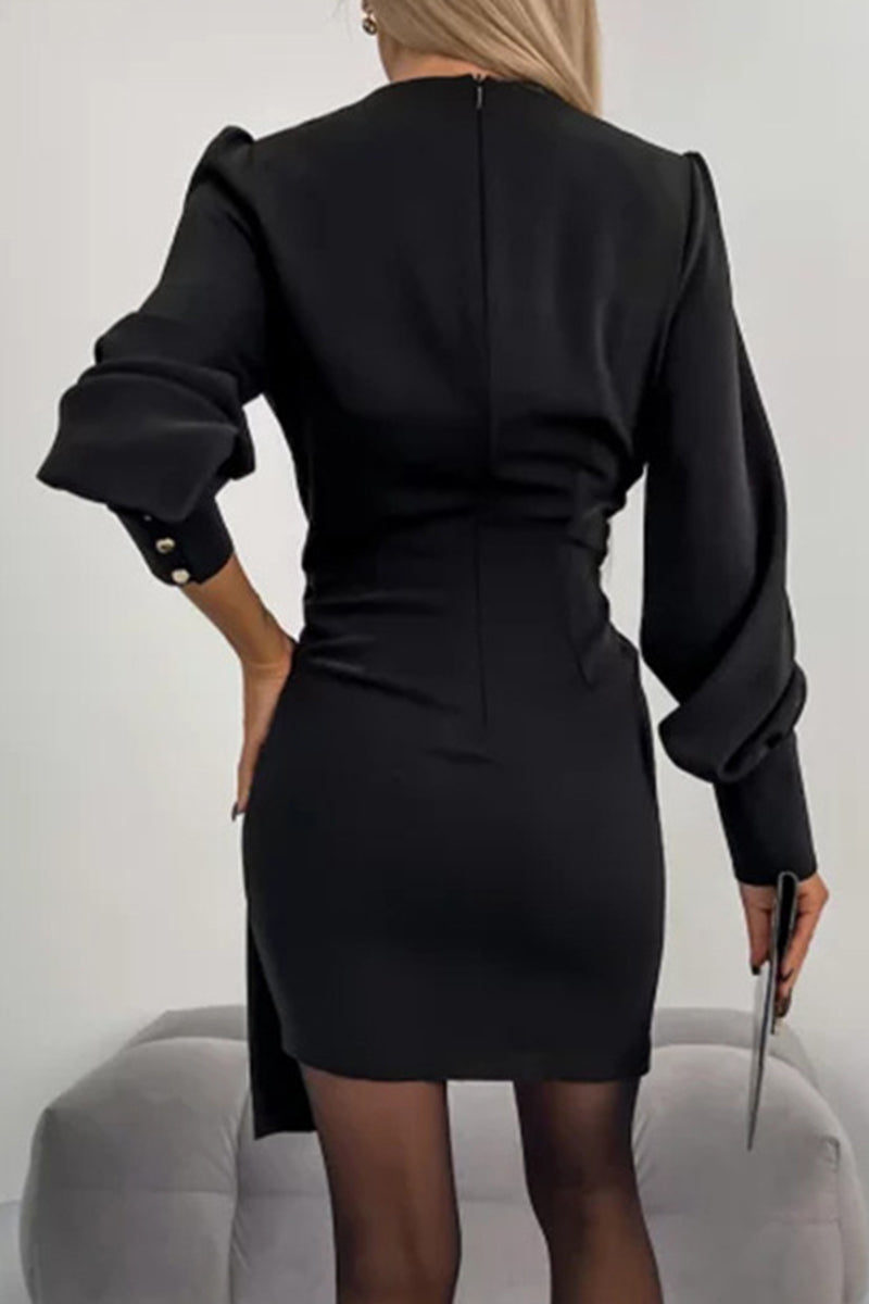 Sophisticated Dress with a Clean Classic Look