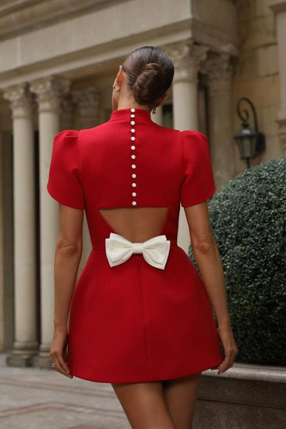 Gracefully Styled Dress for Any Occasion