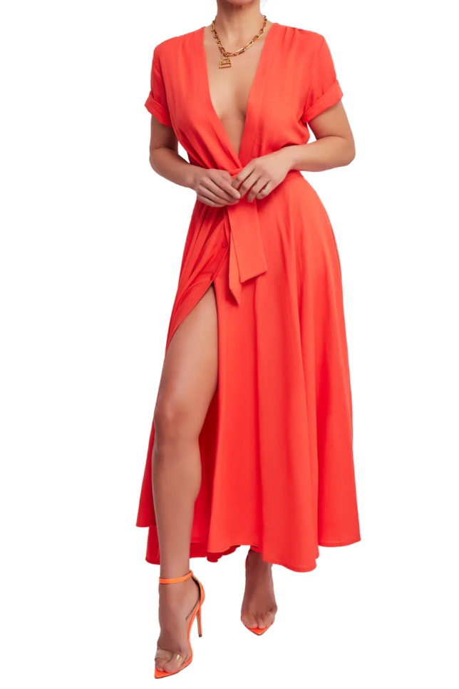 Sophisticated Dress with a Clean Classic Look