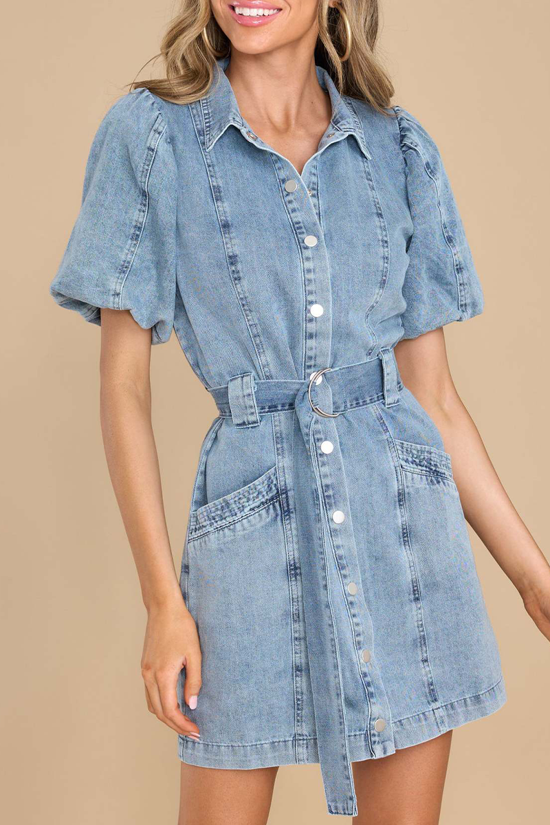 Sophisticated Dress with a Clean Classic Look