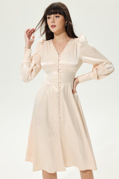 Elegantly Styled Dress for Everyday Wear