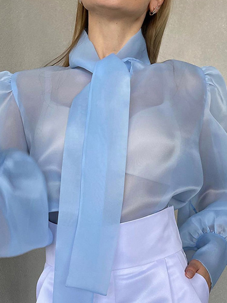 Vintage Inspired Blouse with a Contemporary Edge
