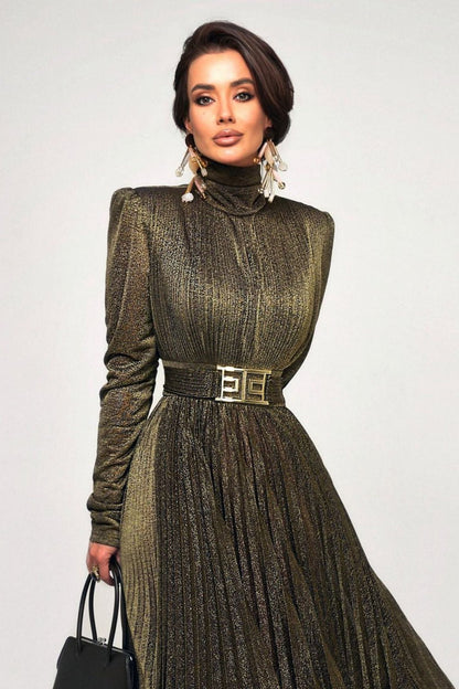 Sophisticated Dress with a Clean Classic Look