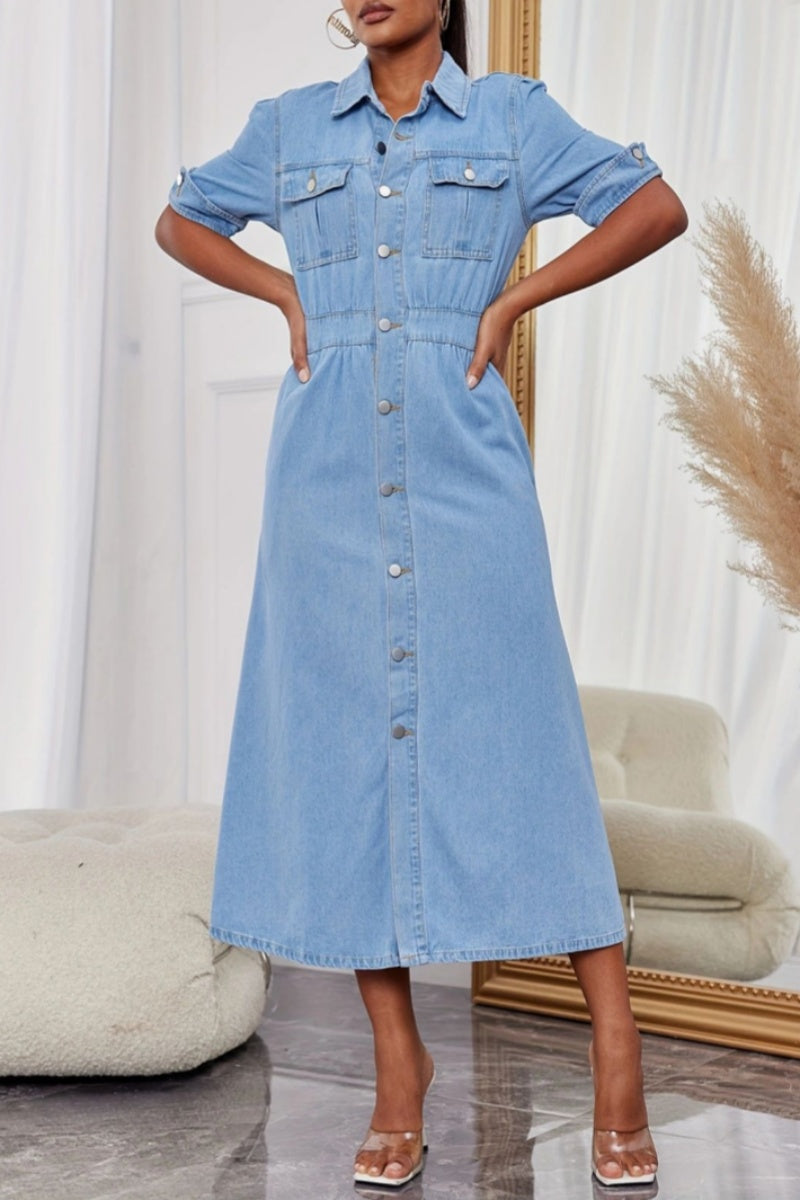 Sophisticated Dress with a Clean Classic Look