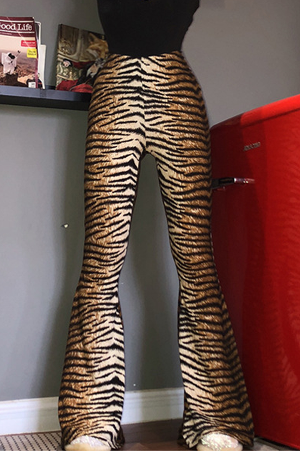 Well Tailored Garment with a Graceful Silhouette