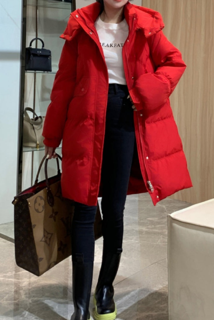 Sophisticated Jacket with a Clean Classic Look