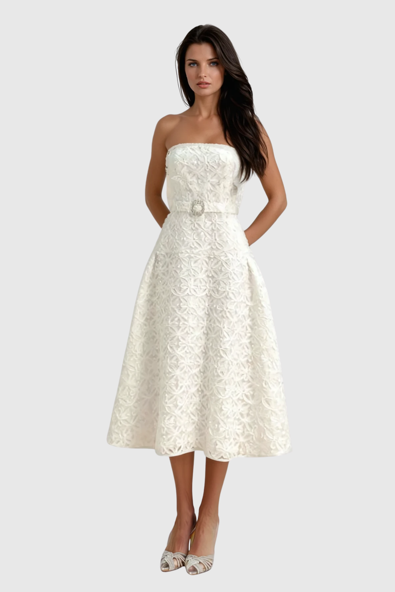 Sophisticated Dress with a Clean Classic Look