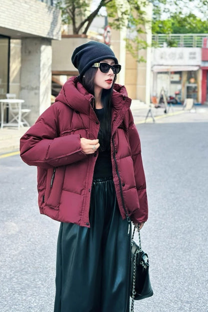 Gracefully Styled Jacket for Any Occasion