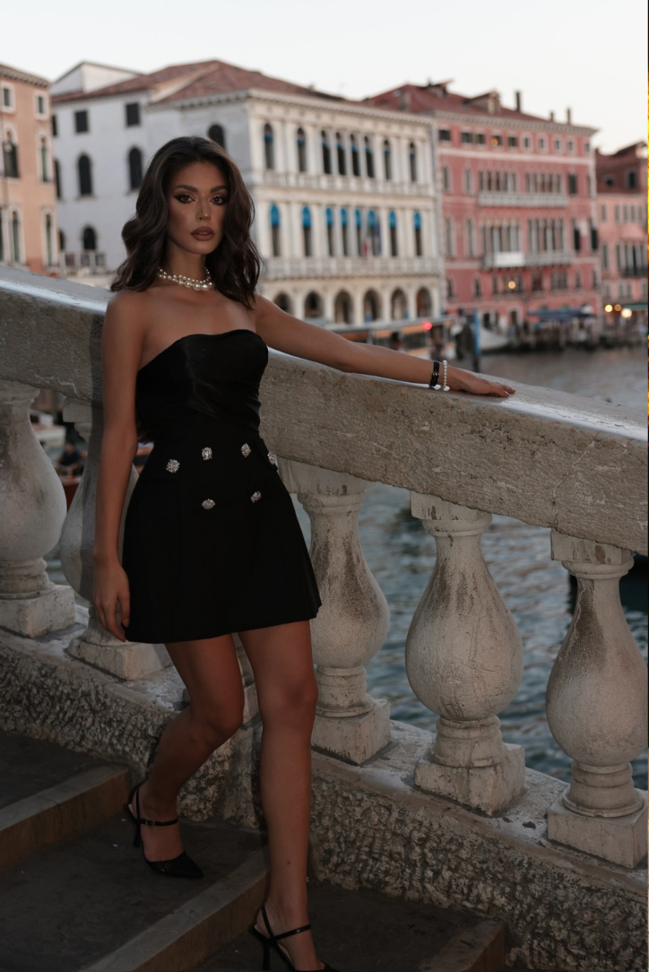Sophisticated Dress with a Clean Classic Look