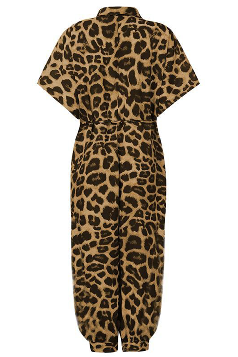 Well Tailored Garment with a Graceful Silhouette