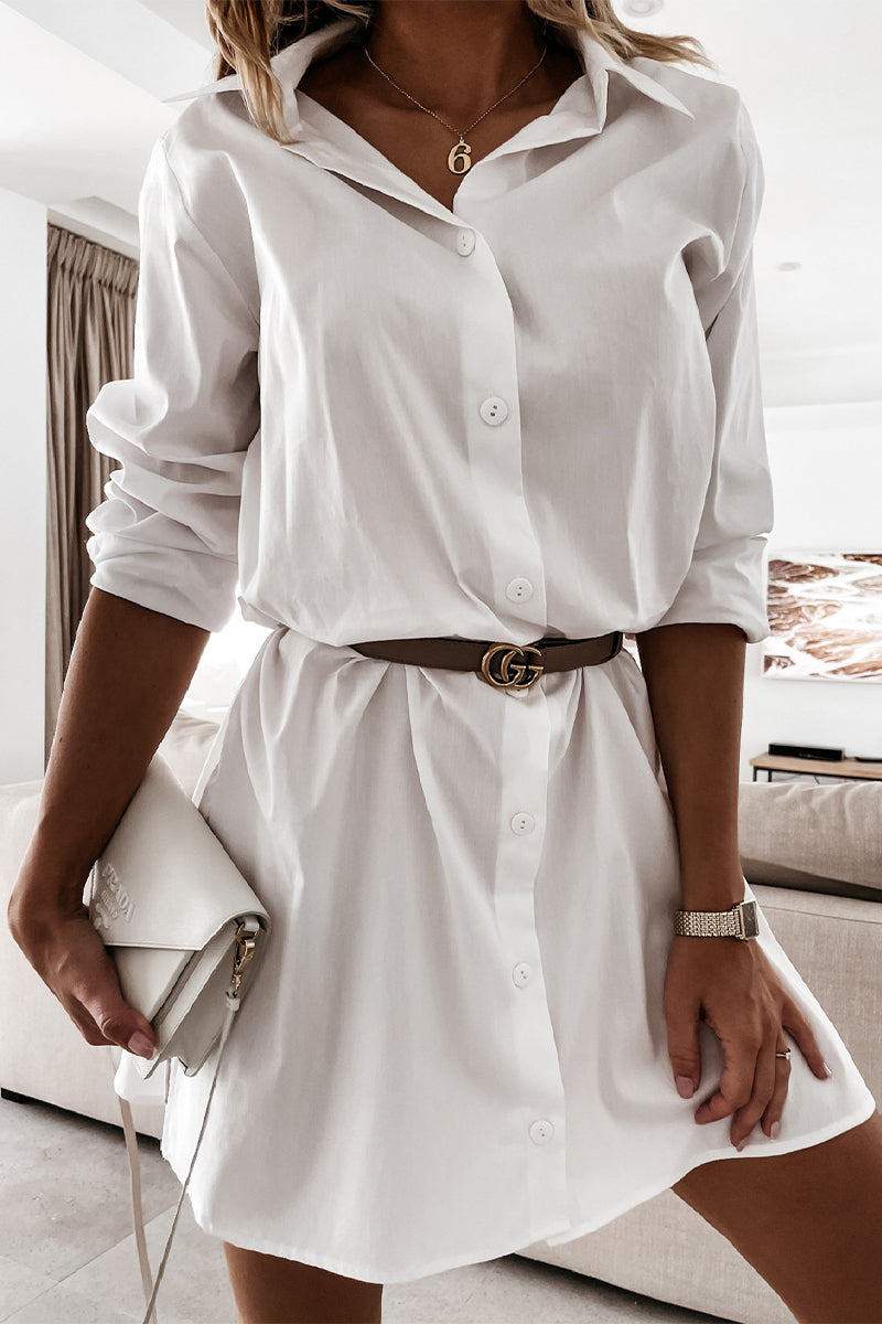 Sophisticated Dress with a Clean Classic Look