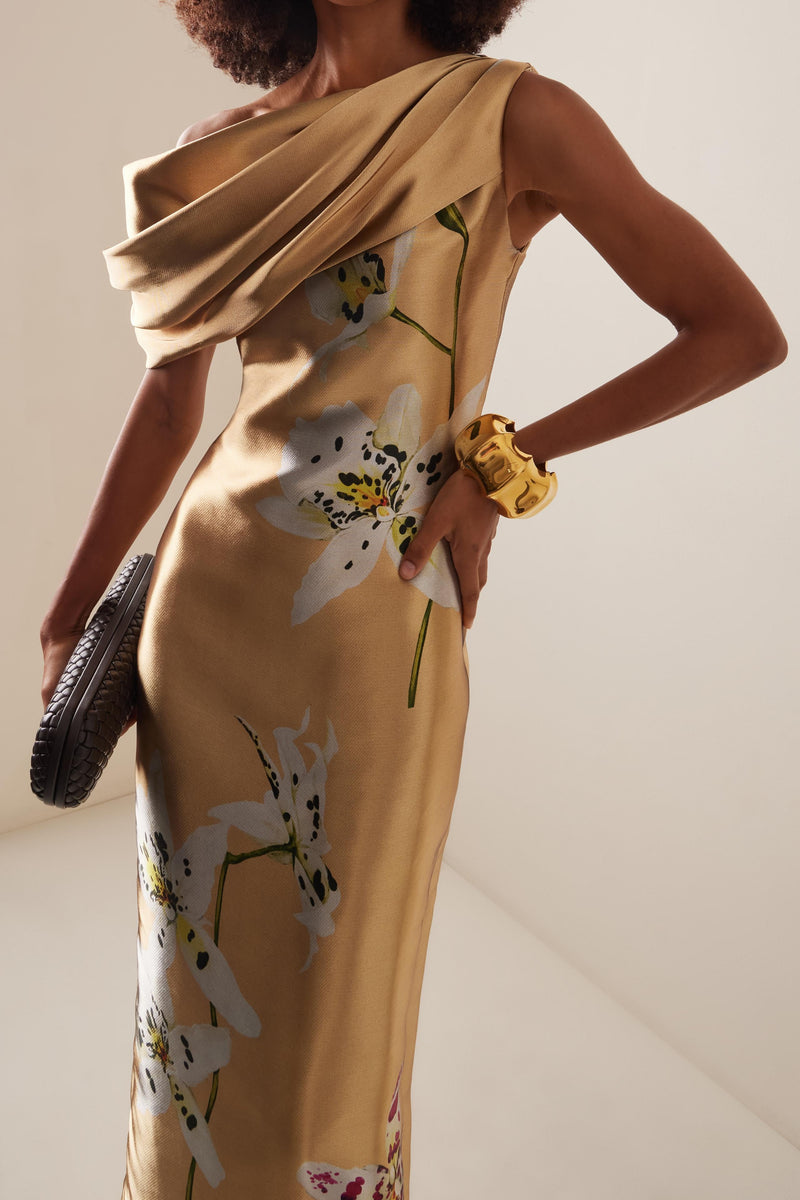 Gracefully Styled Dress for Any Occasion