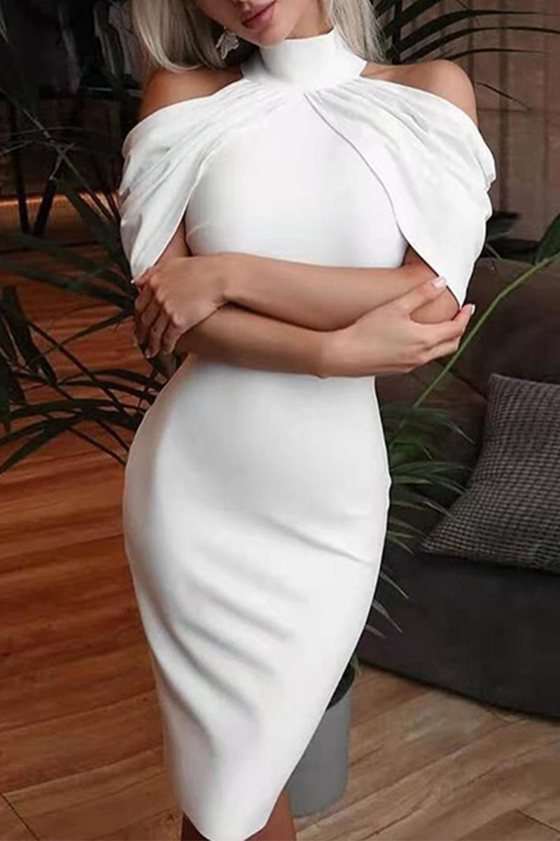 Sophisticated Dress with a Clean Classic Look