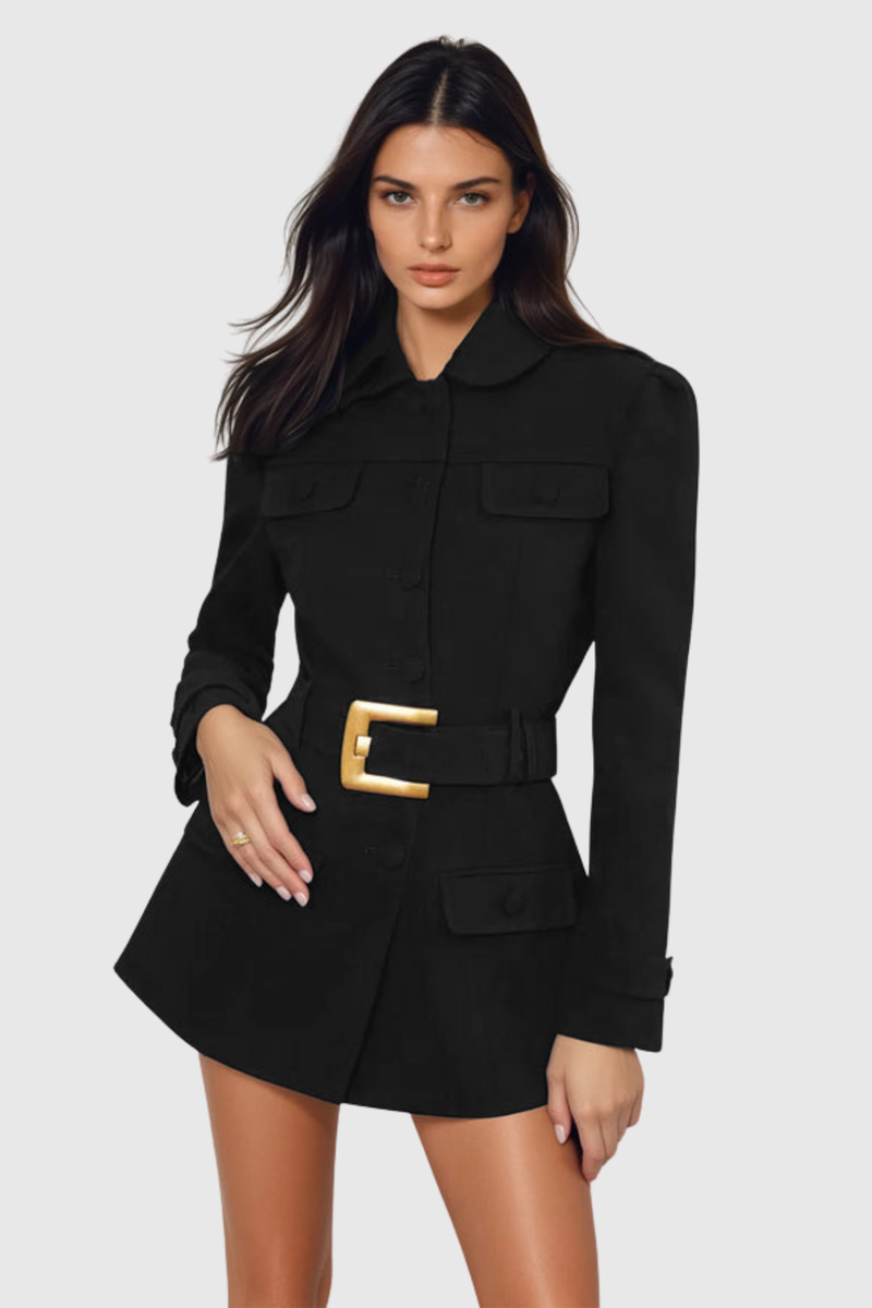 Sophisticated Dress with a Clean Classic Look