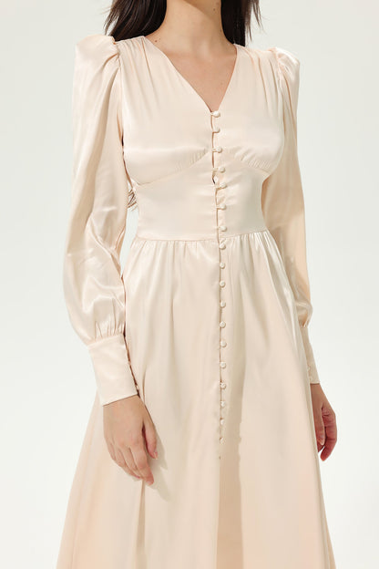 Elegantly Styled Dress for Everyday Wear