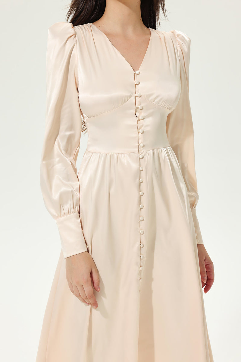 Elegantly Styled Dress for Everyday Wear